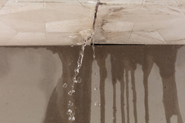 Professional Structural Drying technician working in Capac, MI